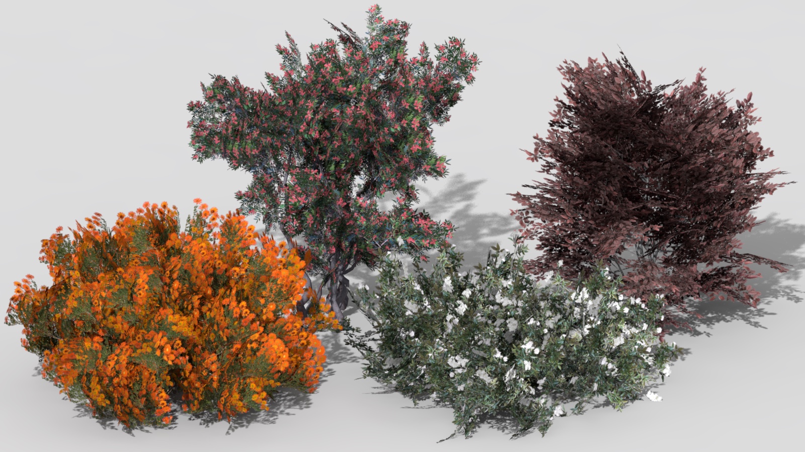 3D 2D Parametric Plants 07 news